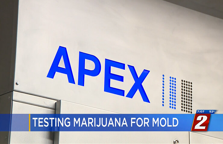 Apex-News-Coverage